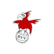 Brandenburgischer Volleyballverband (BVV)
